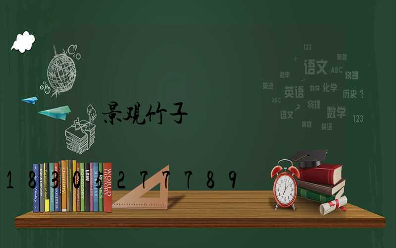 景观竹子