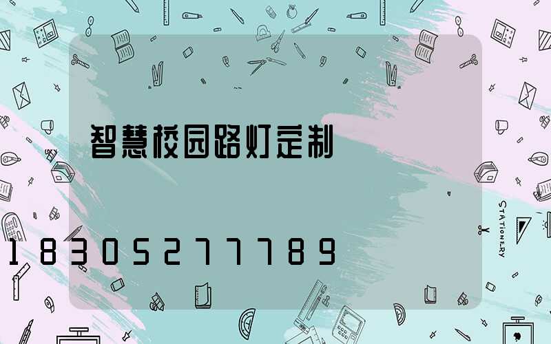 智慧校园路灯定制