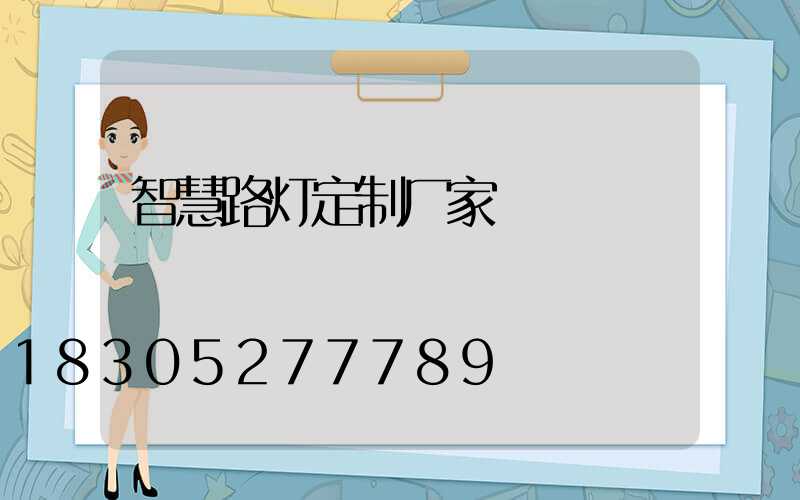 智慧路灯定制厂家