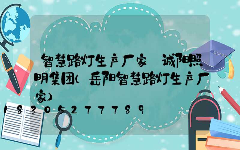 智慧路灯生产厂家∞诚阳照明集团(岳阳智慧路灯生产厂家)
