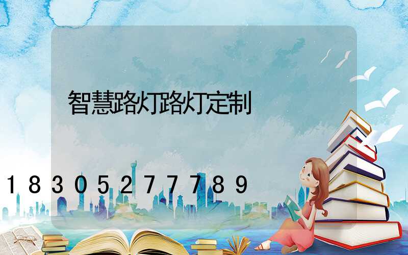 智慧路灯路灯定制