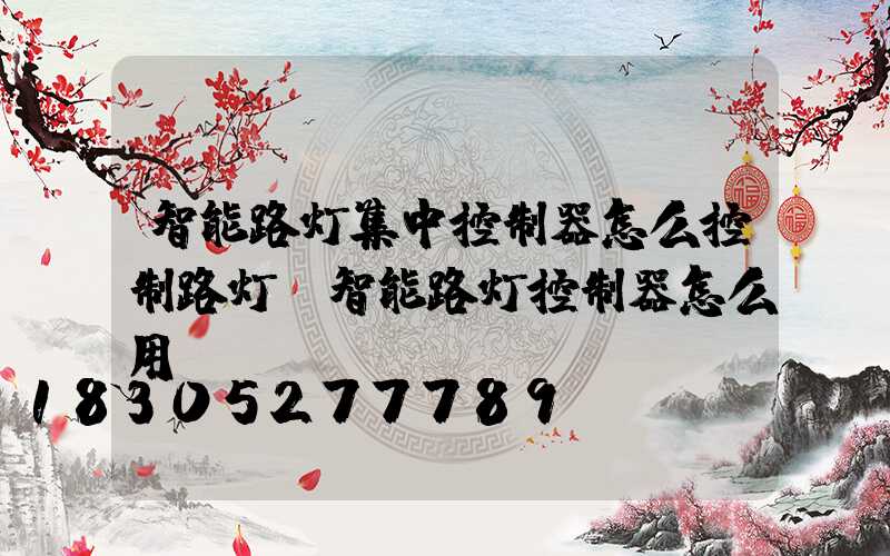 智能路灯集中控制器怎么控制路灯(智能路灯控制器怎么用)