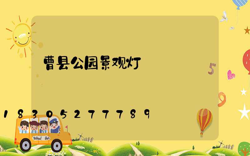 曹县公园景观灯