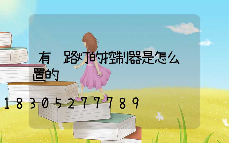 有线路灯的控制器是怎么设置的