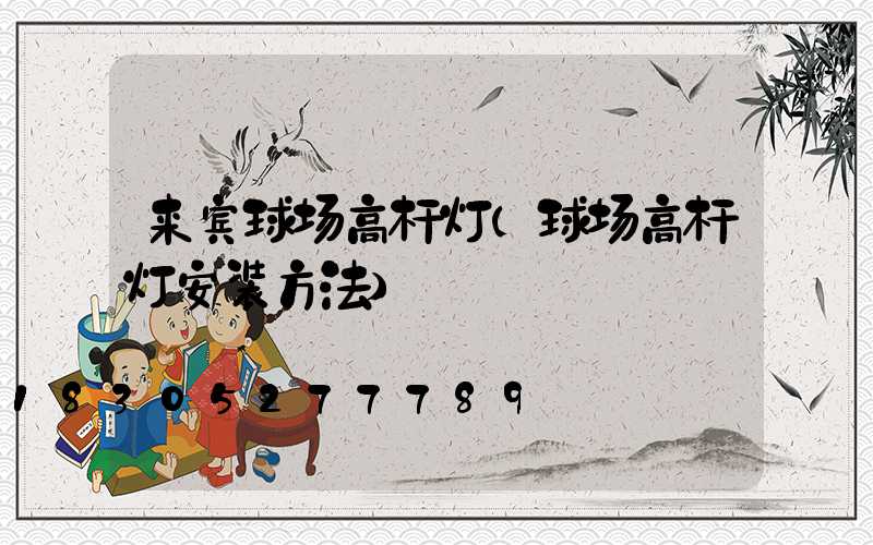 来宾球场高杆灯(球场高杆灯安装方法)
