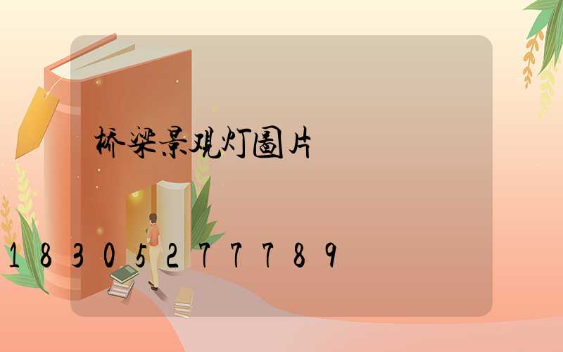 桥梁景观灯图片
