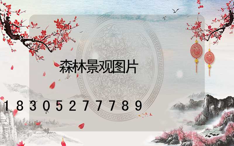 森林景观图片