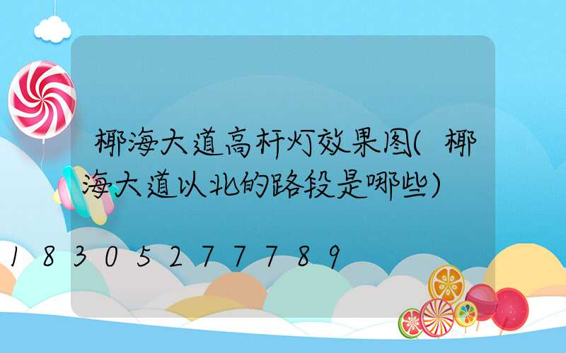 椰海大道高杆灯效果图(椰海大道以北的路段是哪些)
