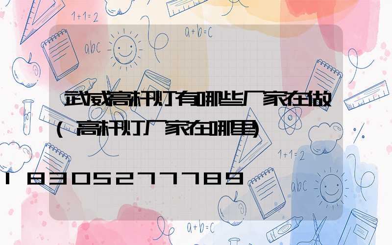 武威高杆灯有哪些厂家在做(高杆灯厂家在哪里)