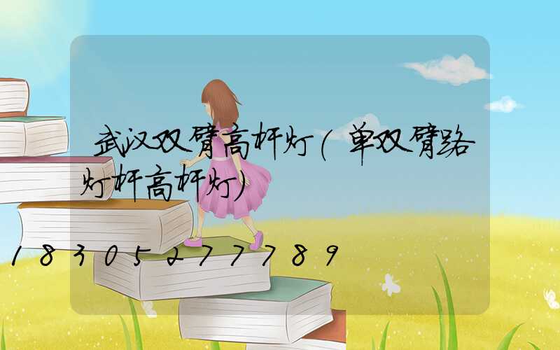 武汉双臂高杆灯(单双臂路灯杆高杆灯)