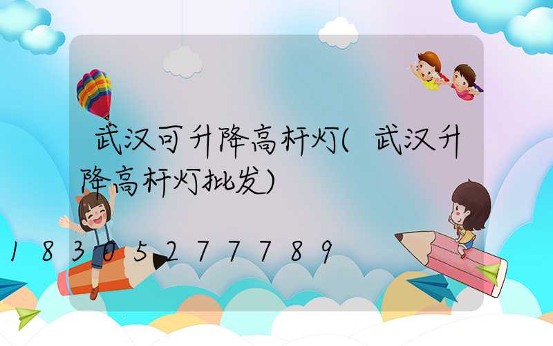 武汉可升降高杆灯(武汉升降高杆灯批发)