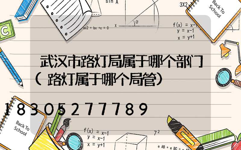 武汉市路灯局属于哪个部门(路灯属于哪个局管)