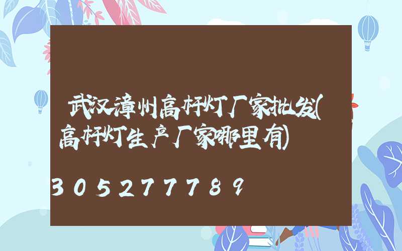 武汉漳州高杆灯厂家批发(高杆灯生产厂家哪里有)