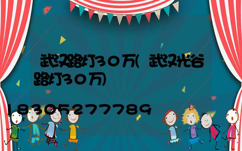 武汉路灯30万(武汉光谷路灯30万)
