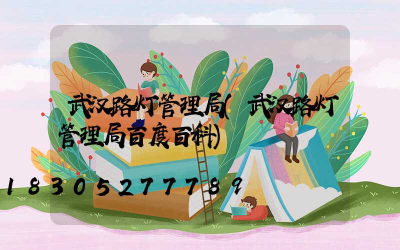 武汉路灯管理局(武汉路灯管理局百度百科)