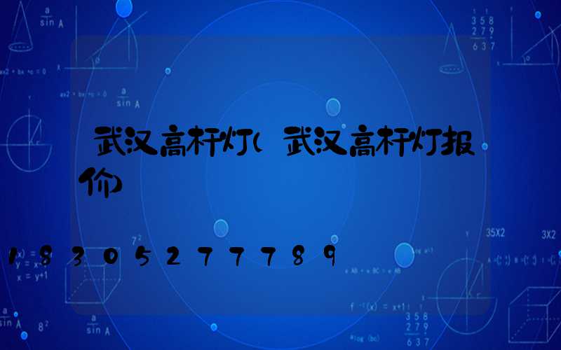 武汉高杆灯(武汉高杆灯报价)
