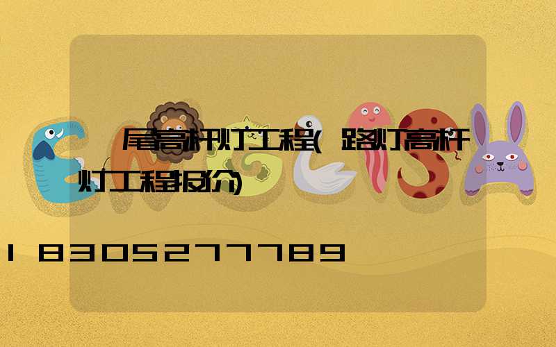 汕尾高杆灯工程(路灯高杆灯工程报价)