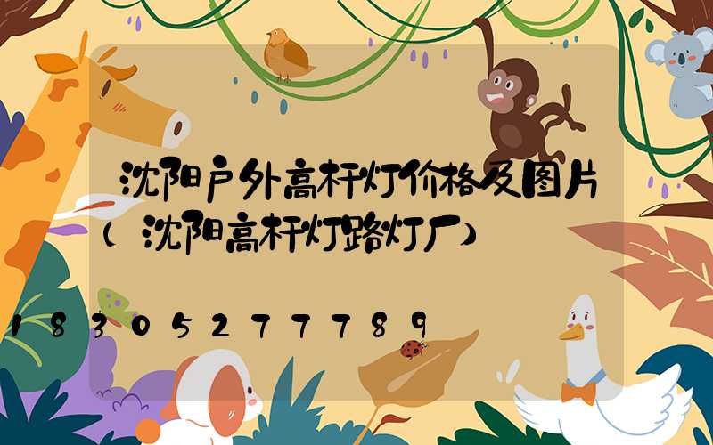 沈阳户外高杆灯价格及图片(沈阳高杆灯路灯厂)