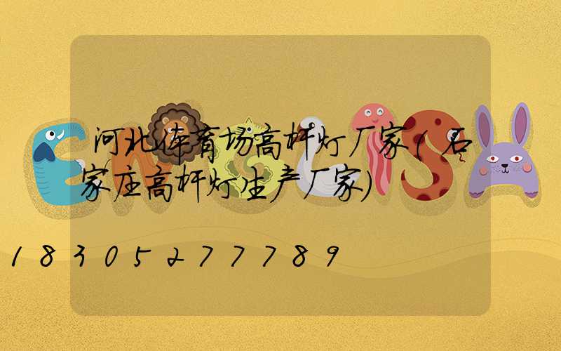 河北体育场高杆灯厂家(石家庄高杆灯生产厂家)