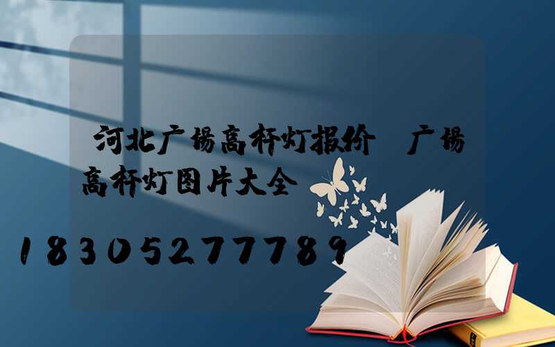 河北广场高杆灯报价(广场高杆灯图片大全)