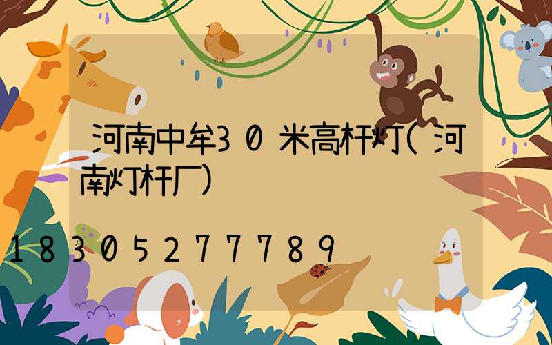 河南中牟30米高杆灯(河南灯杆厂)