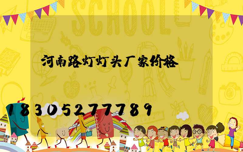 河南路灯灯头厂家价格