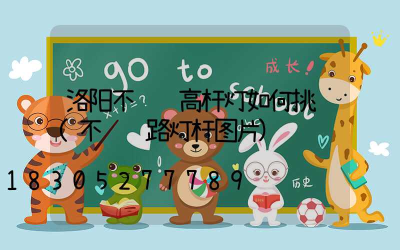 洛阳不锈钢高杆灯如何挑选(不锈钢路灯杆图片)