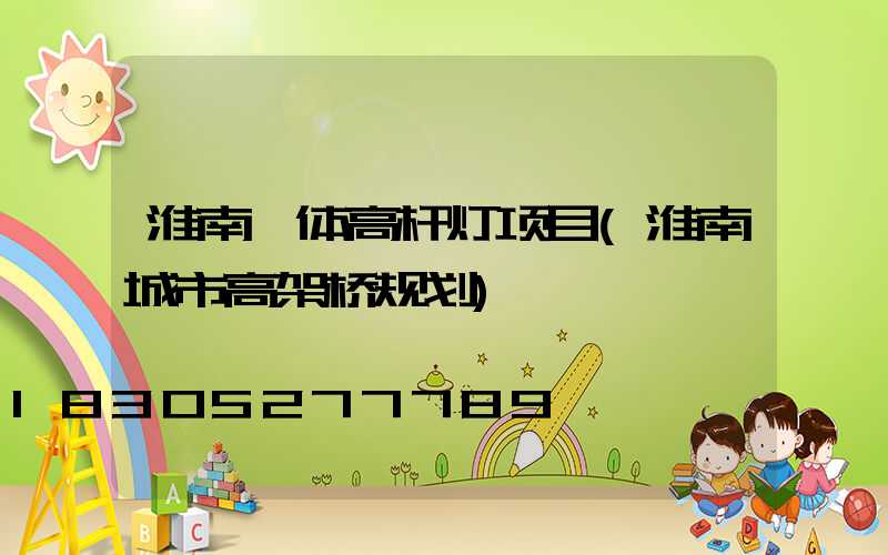 淮南一体高杆灯项目(淮南城市高架桥规划)