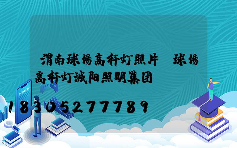 渭南球场高杆灯照片(球场高杆灯诚阳照明集团)