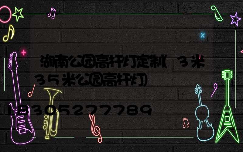 湖南公园高杆灯定制(3米35米公园高杆灯)