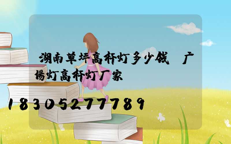 湖南草坪高杆灯多少钱(广场灯高杆灯厂家)