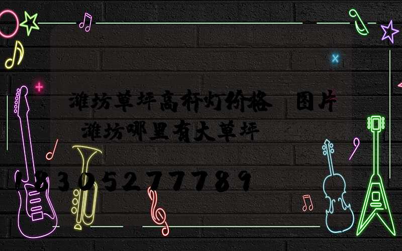 潍坊草坪高杆灯价格及图片(潍坊哪里有大草坪)