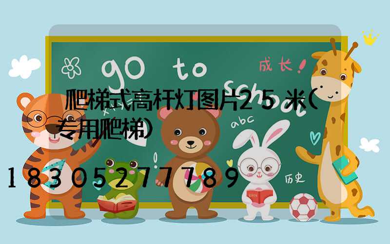 爬梯式高杆灯图片25米(专用爬梯)