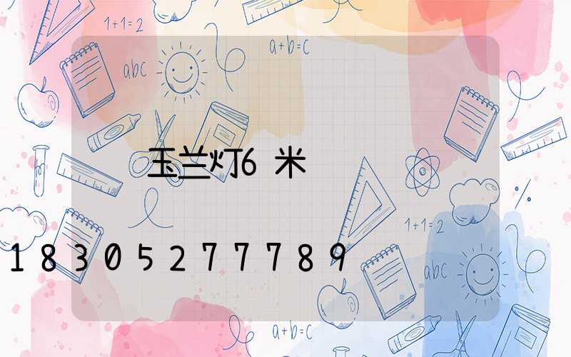 玉兰灯6米