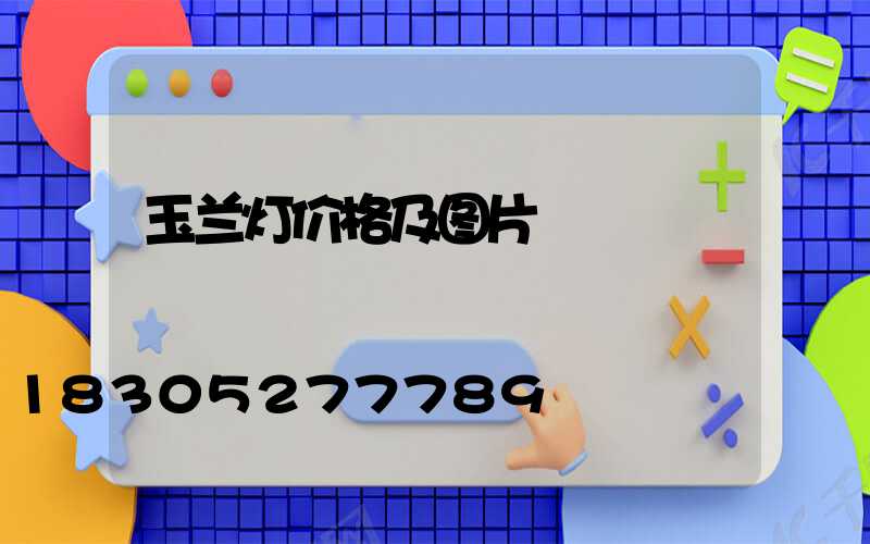 玉兰灯价格及图片