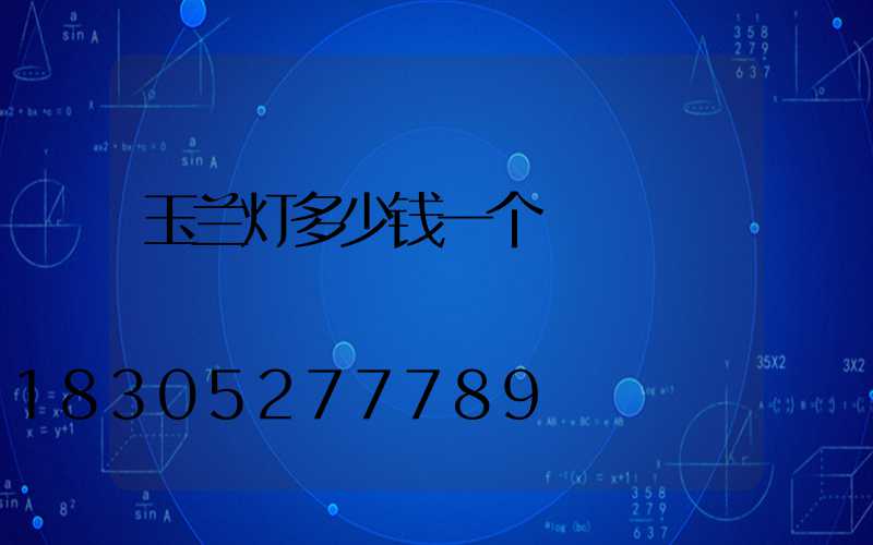 玉兰灯多少钱一个