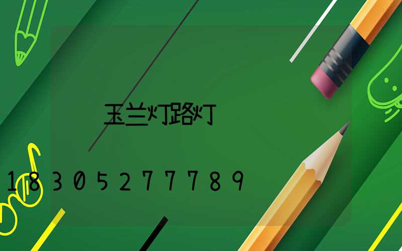 玉兰灯路灯