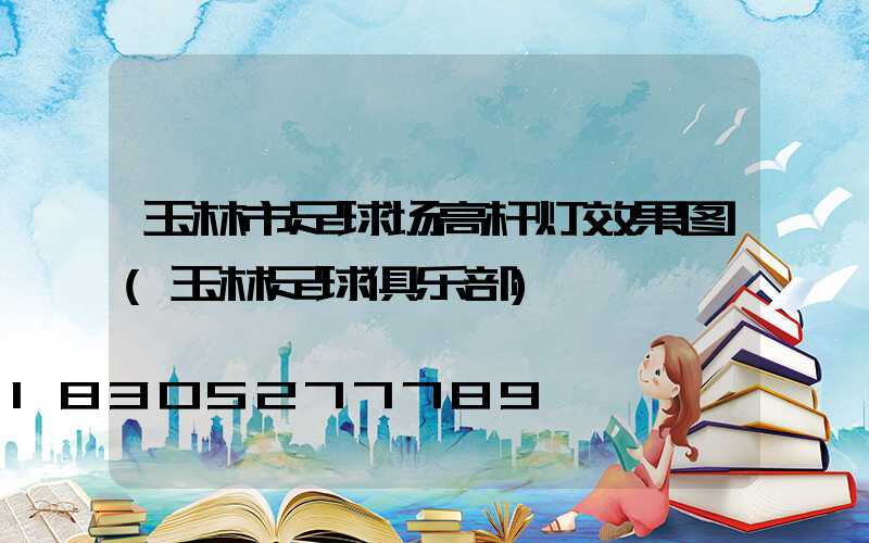 玉林市足球场高杆灯效果图(玉林足球俱乐部)