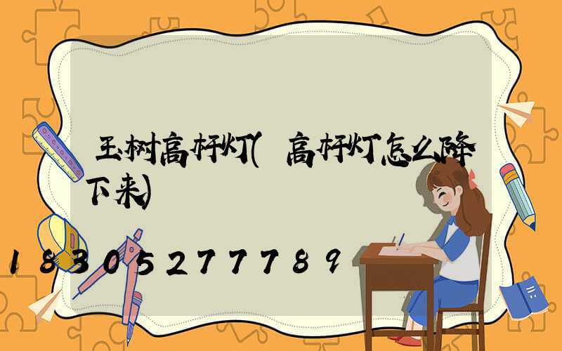 玉树高杆灯(高杆灯怎么降下来)