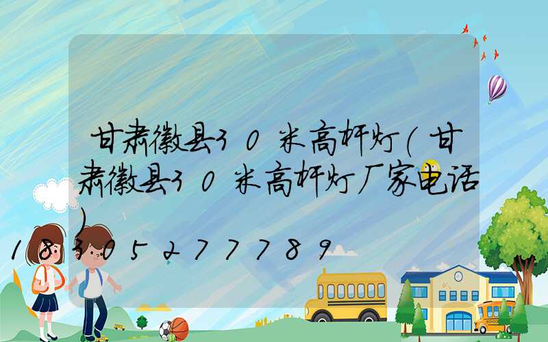 甘肃徽县30米高杆灯(甘肃徽县30米高杆灯厂家电话)