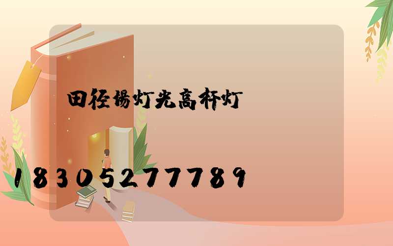 田径场灯光高杆灯