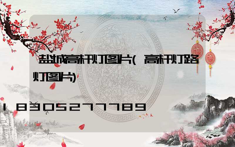盐城高杆灯图片(高杆灯路灯图片)