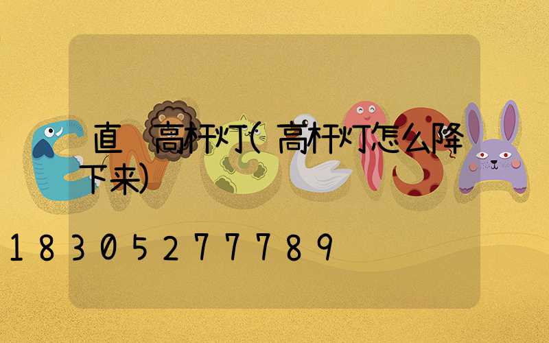 直销高杆灯(高杆灯怎么降下来)
