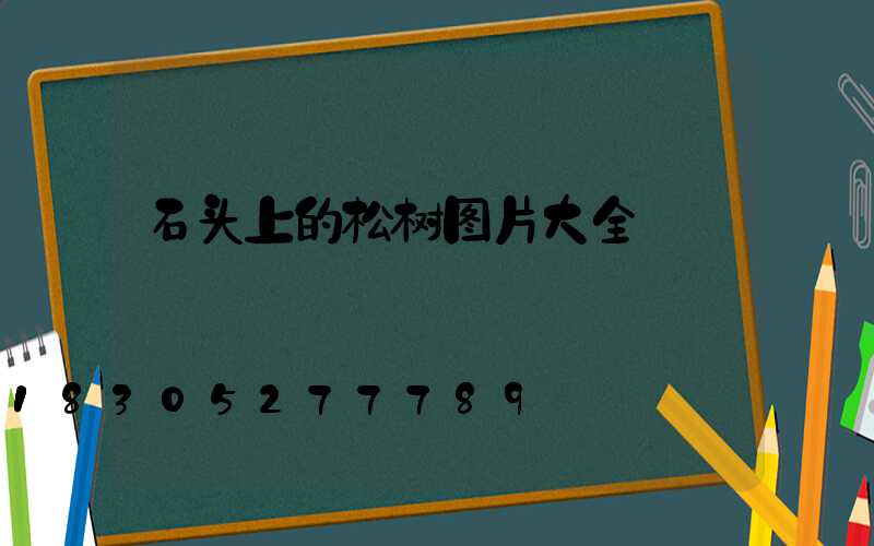 石头上的松树图片大全