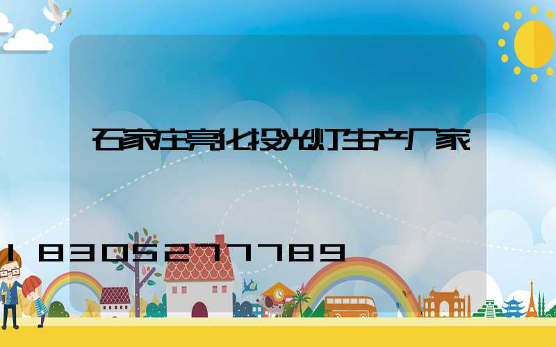 石家庄亮化投光灯生产厂家