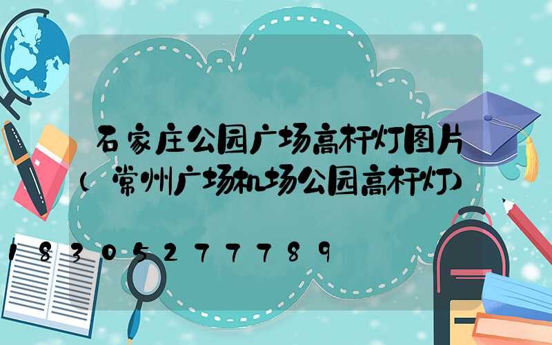 石家庄公园广场高杆灯图片(常州广场机场公园高杆灯)