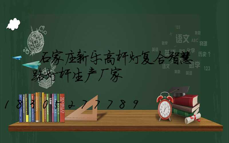 石家庄新乐高杆灯复合智慧路灯杆生产厂家