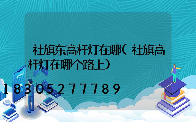 社旗东高杆灯在哪(社旗高杆灯在哪个路上)
