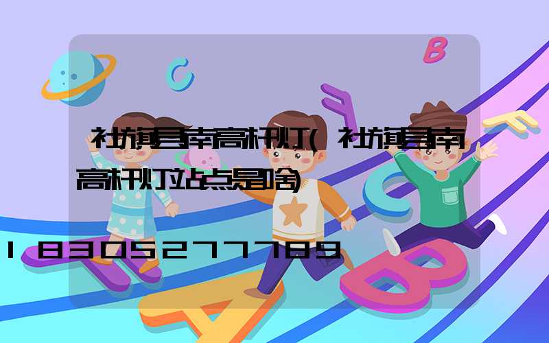 社旗县南高杆灯(社旗县南高杆灯站点是啥)