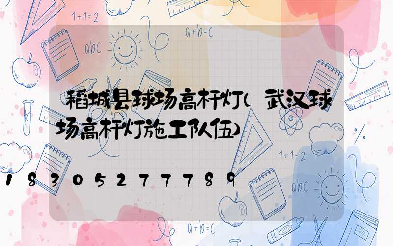 稻城县球场高杆灯(武汉球场高杆灯施工队伍)